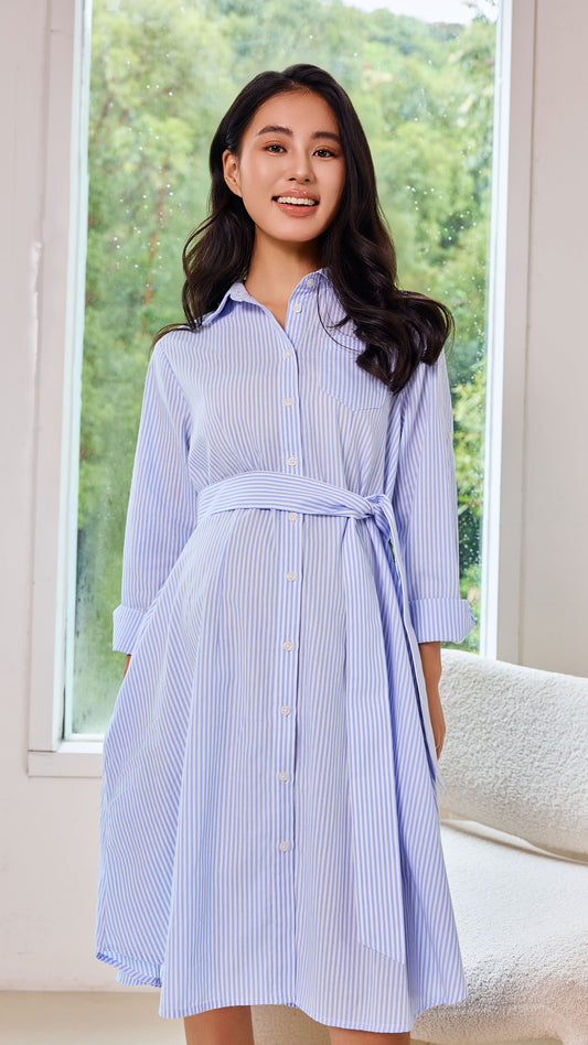 Timeless Striped Shirt Dress